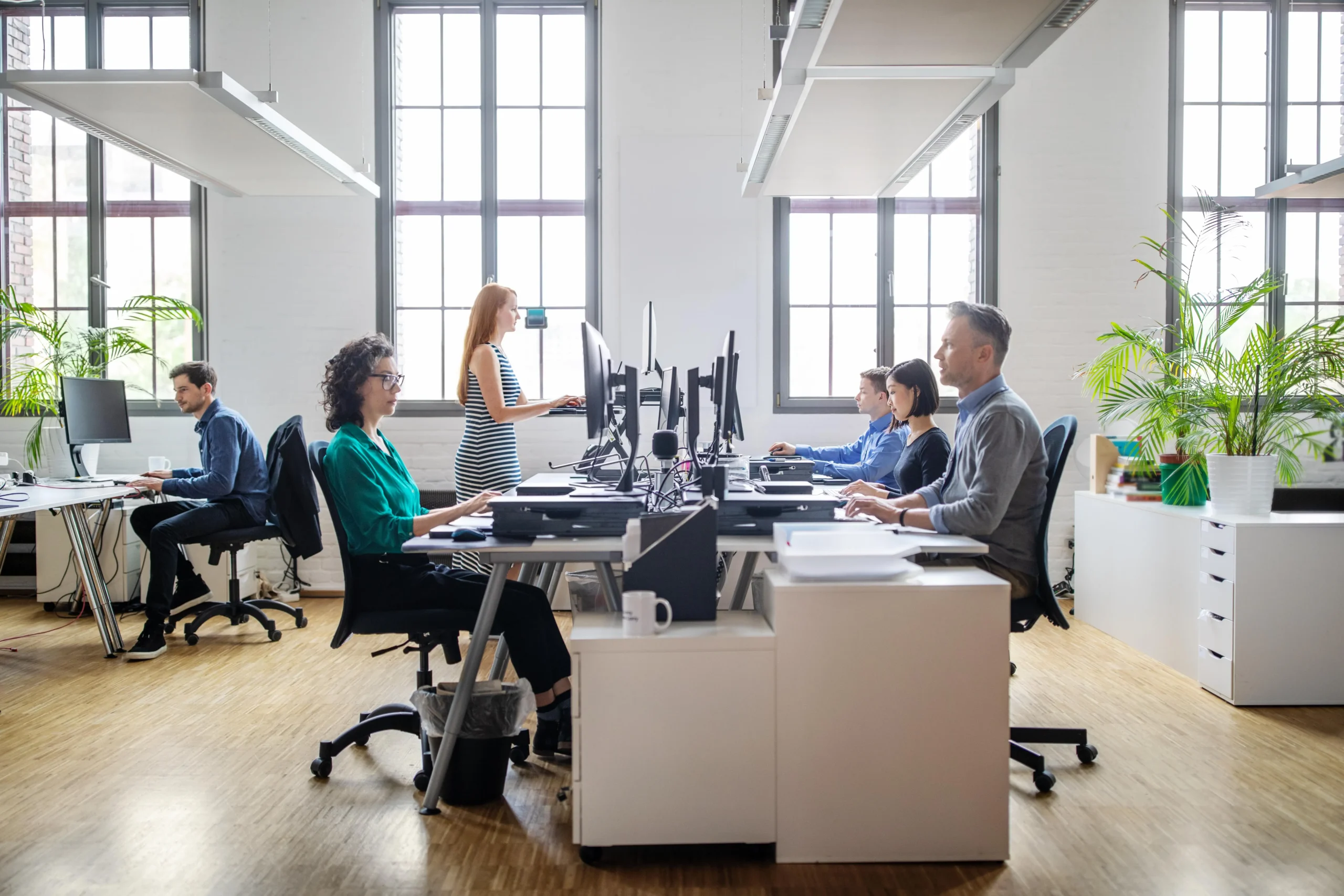Open-plan office with coworkers at desks and computers in front of large windows and plants nearby.